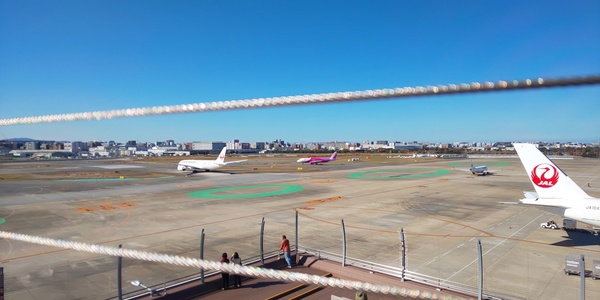 2022/01/31 飛行機ウォッチング✈️