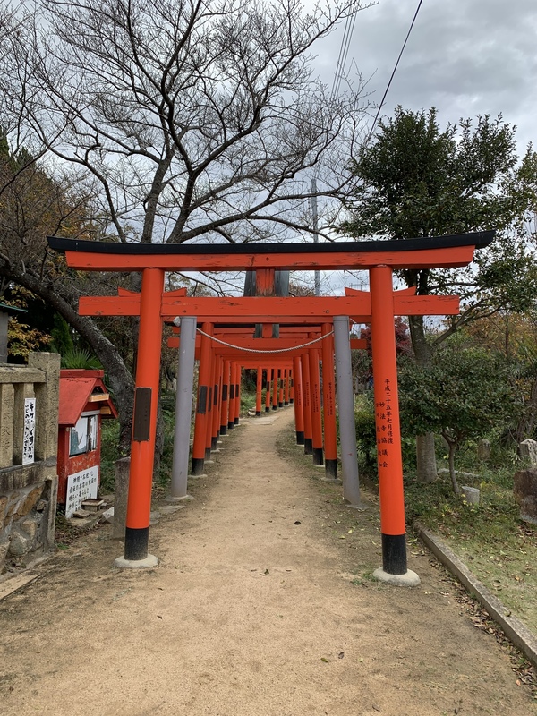 2022/11/26  高取山西峰