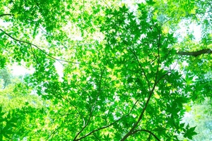 Natural サークル♫（自然体でいられるサークル）BBQ、スノーボード、カフェ、食事会などなど♫