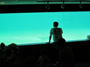中高年サークル　リベリー