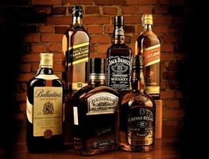 豊洲飲みサー！