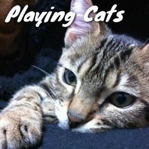 都内バンドサークル★Playing Cats