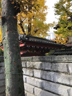 街歩きの会
