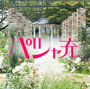 【社会人限定】パシャ充カメラサークル