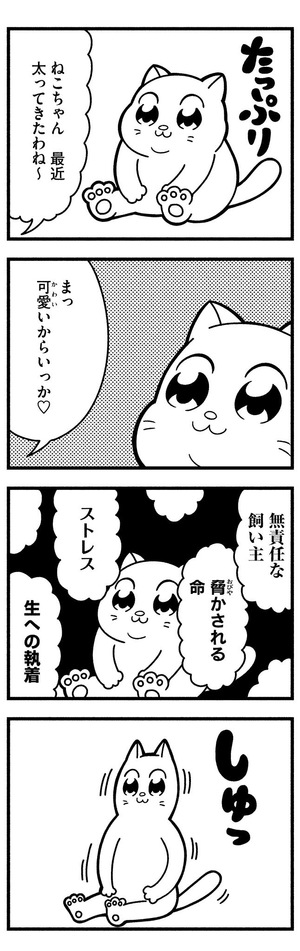 ねこ友幸せ学会（小倉支部