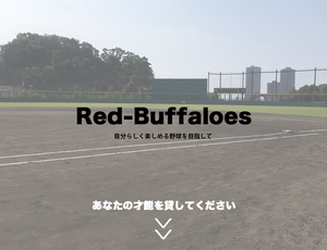 レッドバファローズ