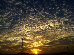 関西写真同好会