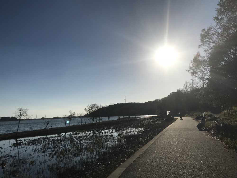 浜松走遊会