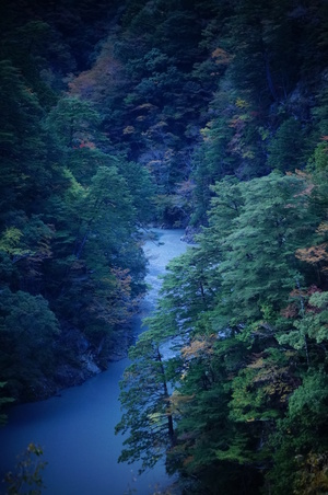 写真サークル（仮名）