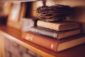 読書サークル book&search