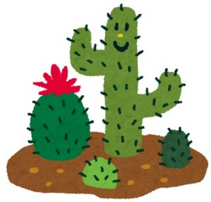 バドミントンサークル　CACTUS