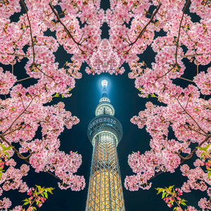 TOKYO CAMERA LIFE