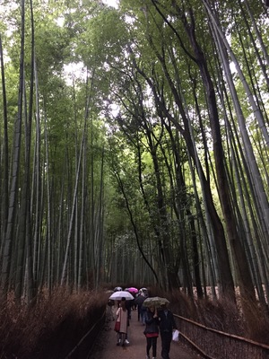 休日を充実させたい人、集まれ～❗🌸和フェ会🌸