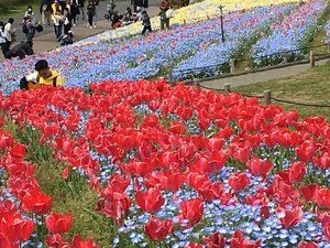 テニスサークル