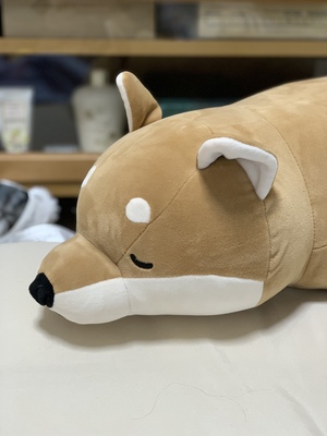 バスケット好き集まれ！