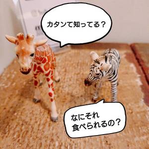 【東京・新宿】みんなでわいわい楽しみながら学べるボードゲーム会