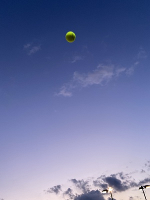 初心者でもOK!🎾社会人テニス🎾