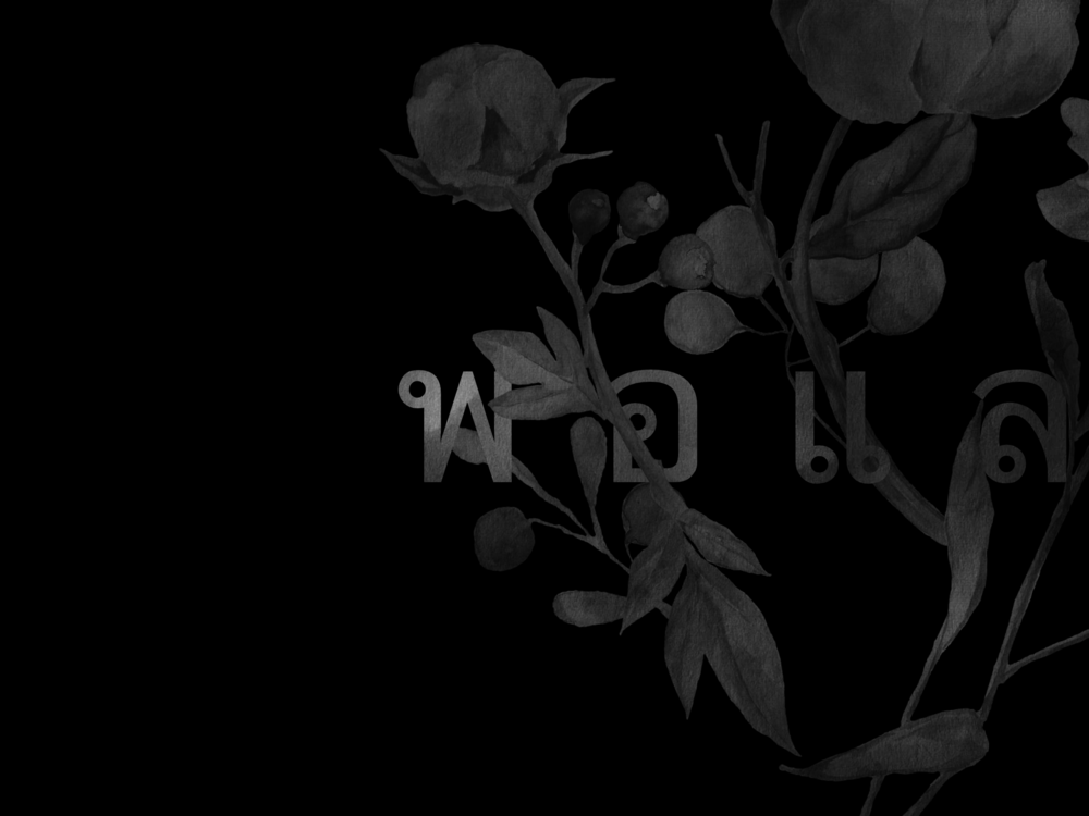 ﾀｲｸﾗﾌﾞ ﾎﾟｰﾚｵ