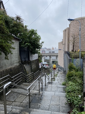 僕と散歩と君と。