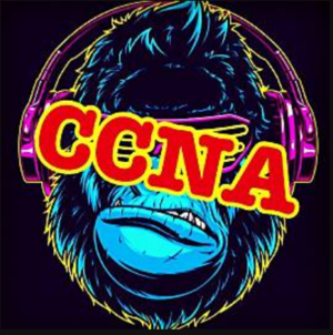 インフラエンジニア/CCNA実機ラボ2021
