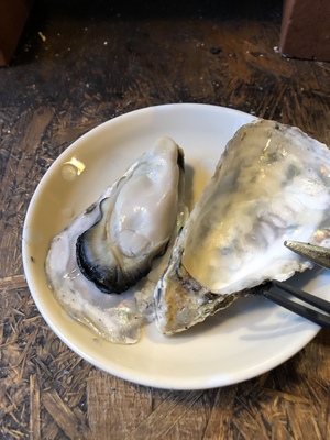 朝バド