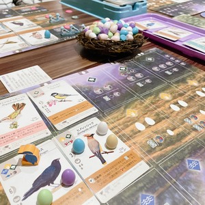 【カメラート】初心者大歓迎！！！新たな趣味にボードゲームを追加しよう！！！
