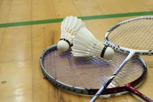 バドミントンしようよ🏸