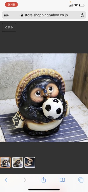 FC Raccoon