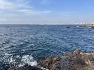 自然に癒されに行く会