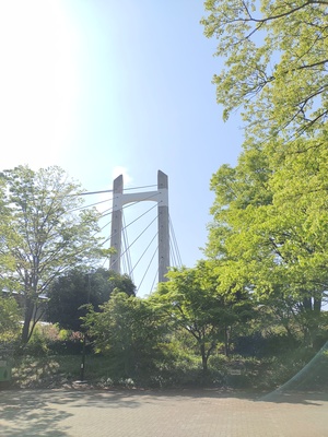 江東区朝ラン