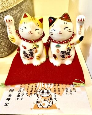 ふんわり交流ボードゲーム会🌈