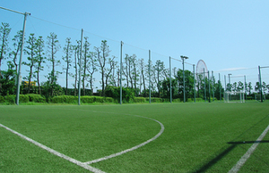 【20代限定】江戸川区エンジョイフットサル【1回500円】
