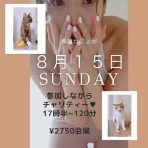 8月15日17時半から ねこよが永福町保護猫カフェ♥