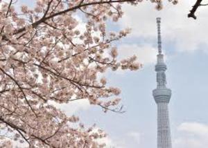 【お出かけサークル🗽】