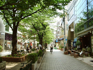 世田谷散歩連合