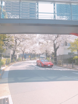 港区ランナーズ