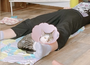 保護猫とヨガをする交流サークル♡