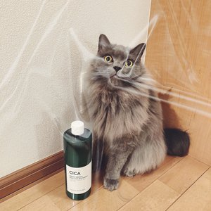 みんなでカラオケに行こう！！٩( ᐛ )و
