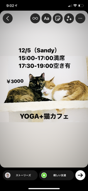 保護猫カフェでねこよが  永福町