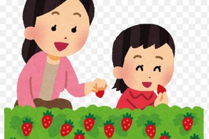 フルーツ大好き会