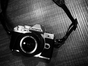 写真散歩