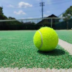 テニス楽しむ会🎾