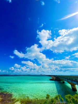 写真📷サークル