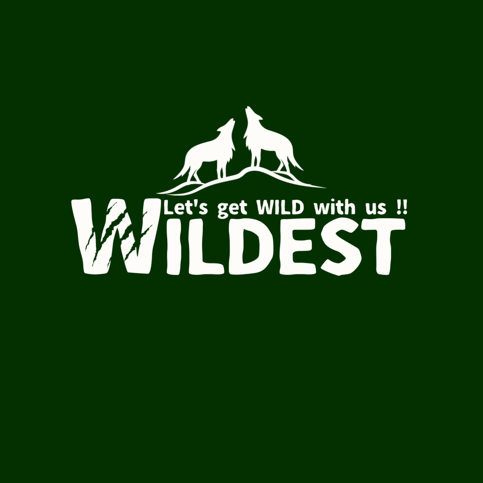 WILDEST【20代が集うアウトドアコミュニティ】