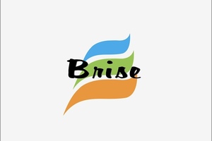 男女混合バレーボールサークル　Brise