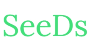 SeeDsイベント😆