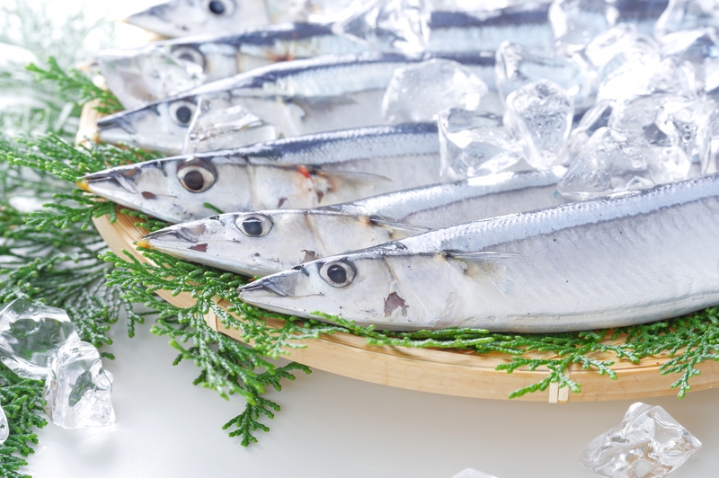 初めての方大歓迎！みんなで魚の捌き方を学ぼう！