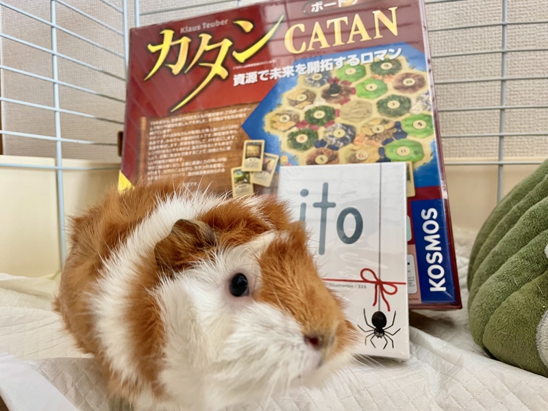 ボドゲぺんぎん会