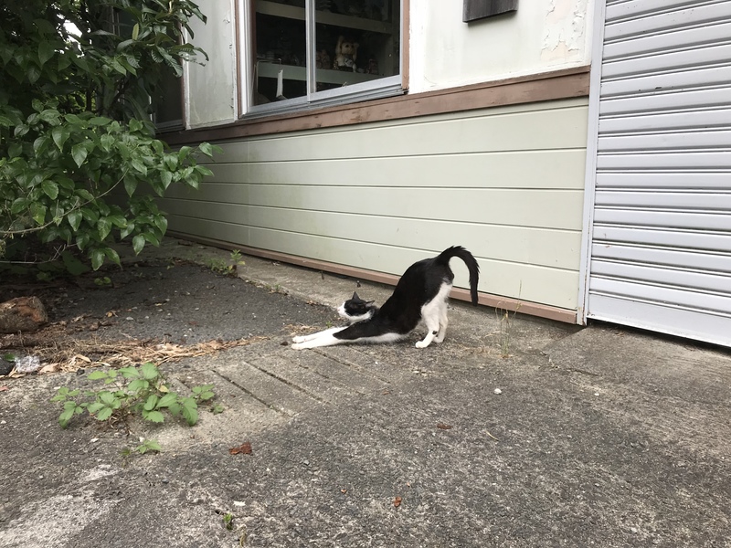 卓卓クラブ