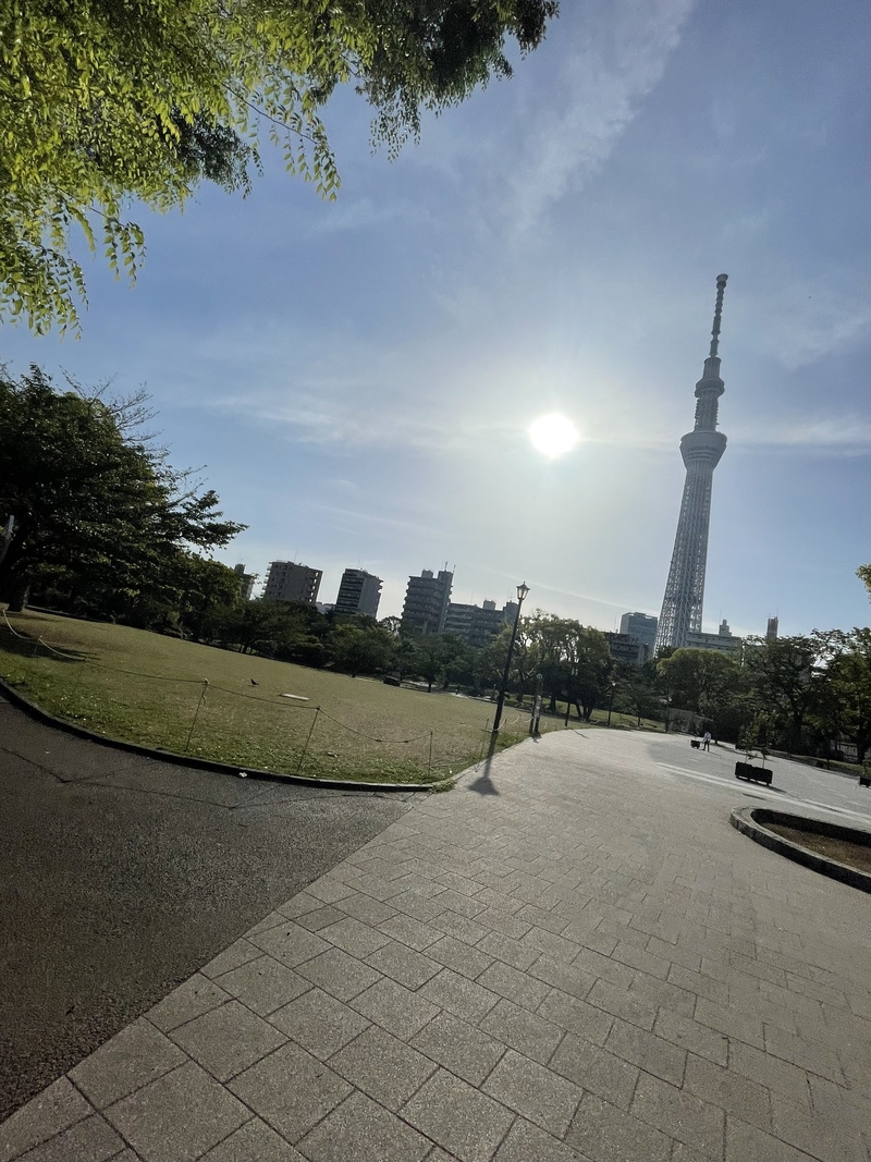 0限目サークル🌞